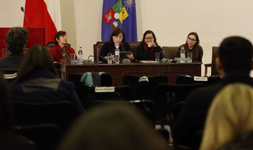 De izquierda a derecha: Alicia Salomone, Mariela Gallardo, Anahí Troncoso y Natalia Morales 